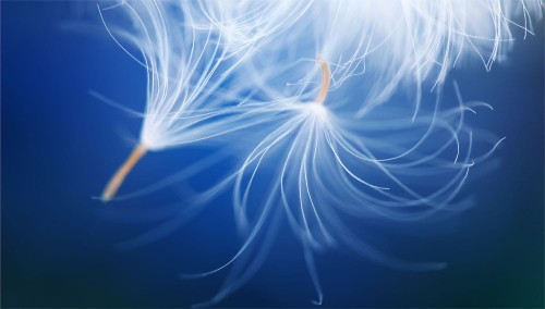 cbe0a1e75c459bf173e182bca0a5d221