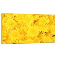 SZKLANA DESKA DO KROJENIA 52x30 d10471