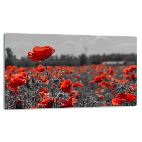 SZKLANA DESKA DO KROJENIA 52x30 d10655