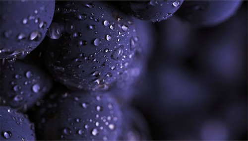 0b6ed5cb875681f454217ce01a3caa54