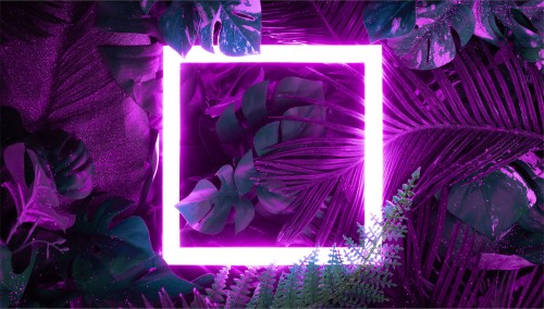 8bf693c833b77df23d9334643b193589