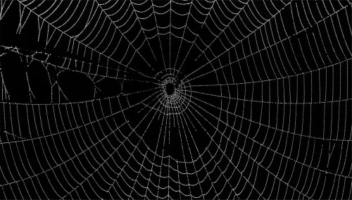 f5911b61bba192413e6b38b6b433f5e8