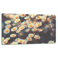 SZKLANA DESKA DO KROJENIA 52x30 d10865