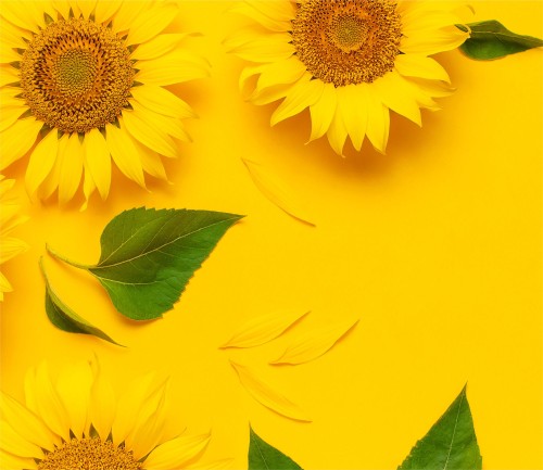 c015b3f3a5af2e4d1aac45b2f92e3b29