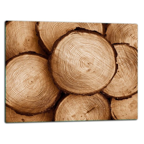 SZKLANA DESKA DO KROJENIA 52x40 d40207