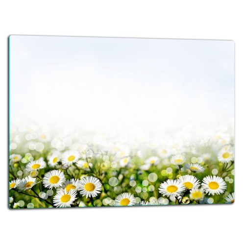 SZKLANA DESKA DO KROJENIA 52x40 d40246