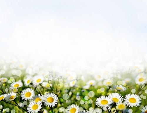 7c43fe2083e90df65369df60772bf4ce