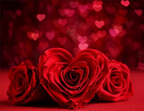 209bdfa2d240be369df6537d91bc6d9e