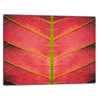 SZKLANA DESKA DO KROJENIA 52x40 d40455