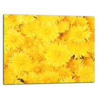 SZKLANA DESKA DO KROJENIA 52x40 d40480