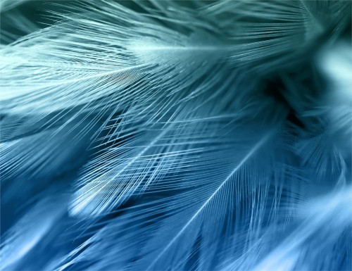 e41494770f6c1433476fd961dbf9ea0a