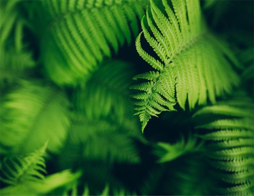 866a54356b4268540a27c7e13041c901