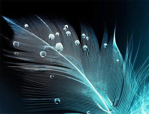 77096e057b243291501081a545fe059c