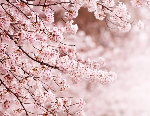 aa6cd1df75c4efac98e49e2c635921bf