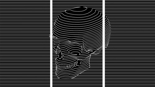 d93fff63f98c199dd2a98efa41293d15