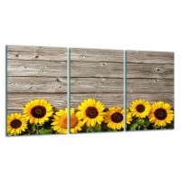 SZKLANA DESKA DO KROJENIA ZESTAW 3x30x52 30388