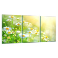 SZKLANA DESKA DO KROJENIA ZESTAW 3x30x52 30478