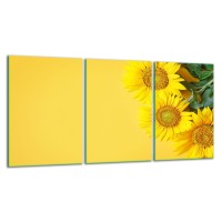 SZKLANA DESKA DO KROJENIA ZESTAW 3x30x52 30642
