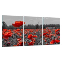 SZKLANA DESKA DO KROJENIA ZESTAW 3x30x52 30652