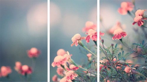 221097255ff68348d40811f28cac5131