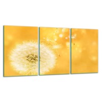 SZKLANA DESKA DO KROJENIA ZESTAW 3x30x52 30844