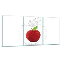 SZKLANA DESKA DO KROJENIA ZESTAW 3x30x52 30945