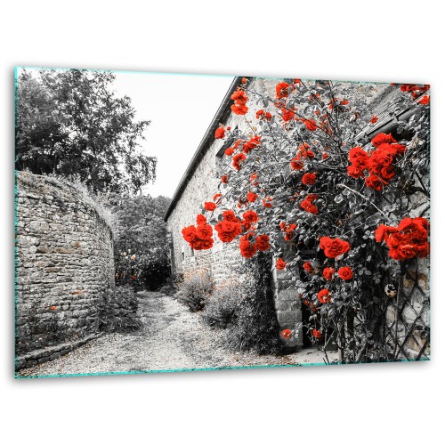 SZKLANA DESKA DO KROJENIA 40x30 d120075