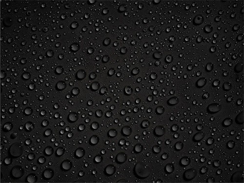 88a02879684654bb453e05014d84d494