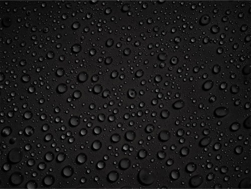 51f8ec61856702ff480018f0a620f4c0