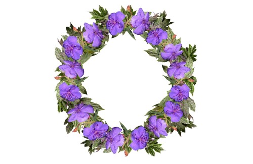 47b5be6ab911cbfdd7dc372a151c2a17