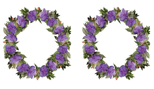 78a762c17b719f28c2a5108f3437ee45