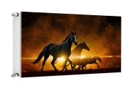 MATA MAGNETYCZNA NA KALORYFER 100x60 M03-0072