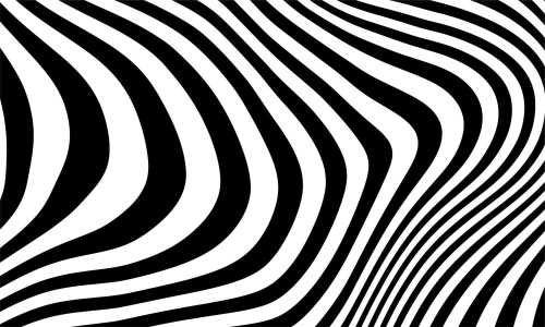 d837343cc5b3246c24c009f310613449