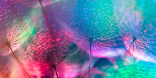 c0a6281aa6052e7ff51a8a1771a0cb0b