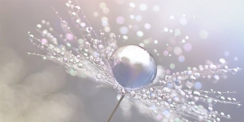 29dd8383fa67cf5a562454b2e50c24bf