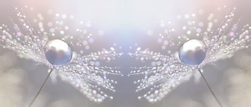 99a33ee69b69323946ea78dc42988d9d