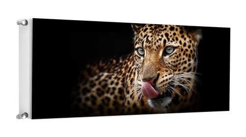 MATA MAGNETYCZNA NA KALORYFER 140x60 M05-0154