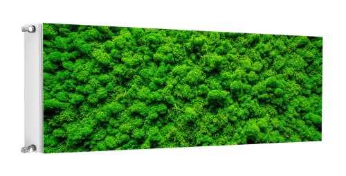 MATA MAGNETYCZNA NA KALORYFER 160x60 M06-0258
