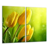 SZKLANA DESKA DO KROJENIA ZESTAW 2x30x52 20305