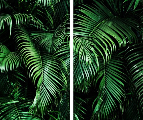 2d67054e41e6b208fd0f71bc1fa05b39