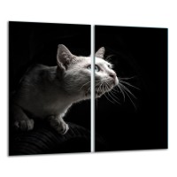 SZKLANA DESKA DO KROJENIA ZESTAW 2x30x52 20582