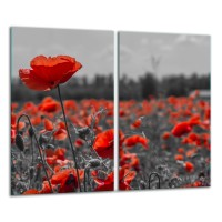 SZKLANA DESKA DO KROJENIA ZESTAW 2x30x52 20672