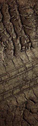 d3bf28122731933541ab28eef2f4bbf9