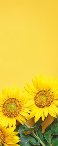 e1f2b20ec392297db582e58c574116f6