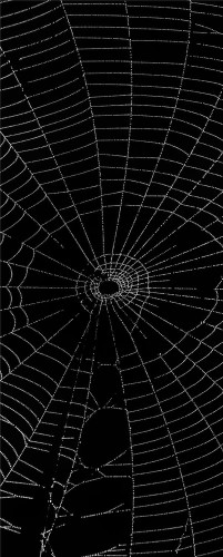 9b4184d58082d6a467bfa5d33e5ba50b