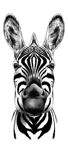 NAKLEJKA na DRZWI OKLEINA 90x200 ZEBRA