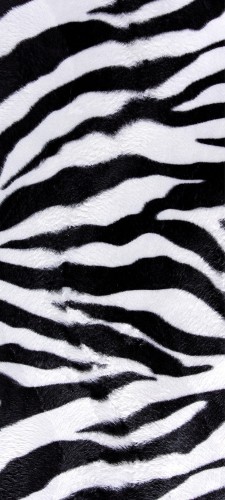 NAKLEJKA na DRZWI OKLEINA 90x200 ZEBRA
