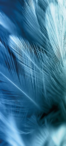 7bcb206643c6263b1090b7ec475fc94b