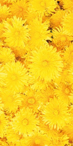 eb05897b7a052c0942171cbd4efd9aa4