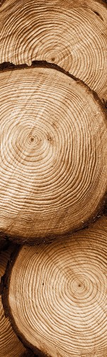 NAKLEJKA NA ŚCIANĘ FOTOTAPETA 75x250 DREWNO